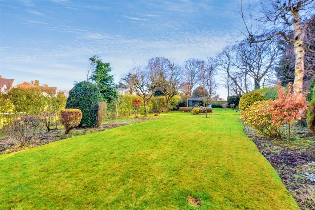 Garden 3.jpeg