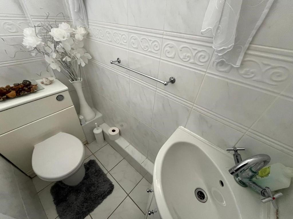 Pic 3.jpg