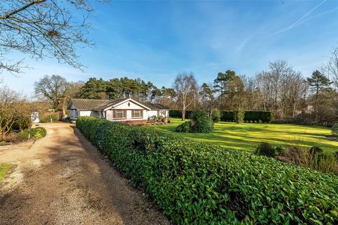 4 bedroom bungalow for sale, Weare Street, Ockley, Dorking, Surrey, RH5