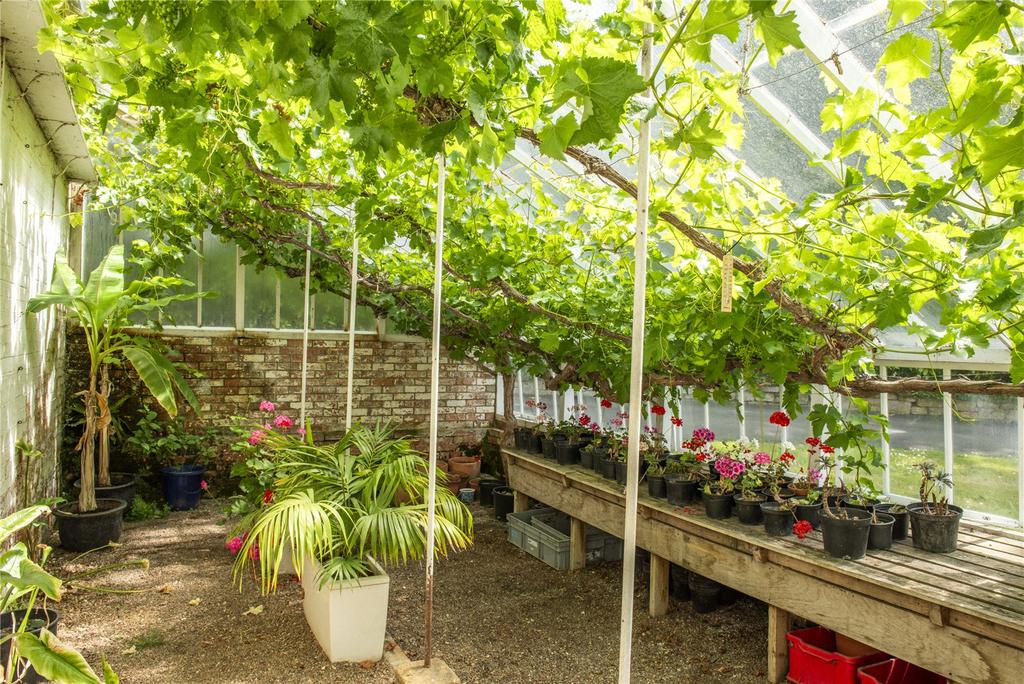 Greenhouse