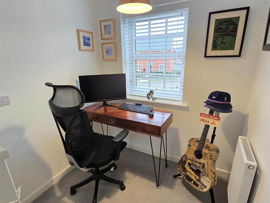 Study Area