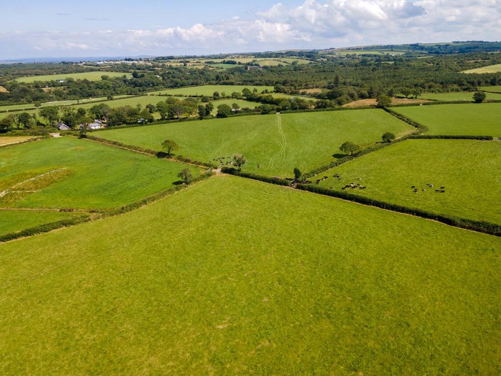 The land