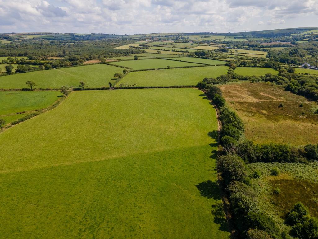 The land