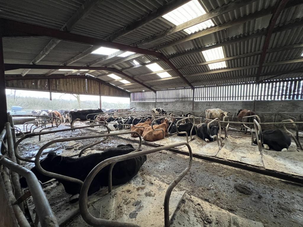 Large Streel Frame Stock Shed/Cubicle Shed