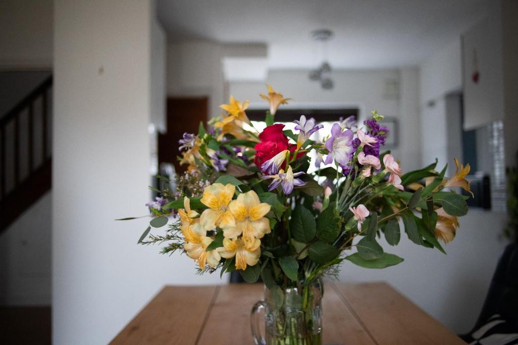 Fishguard Road Lifestyle-2.jpg