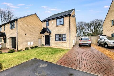 41 Potters Meadow, Workington, CA14 4AE