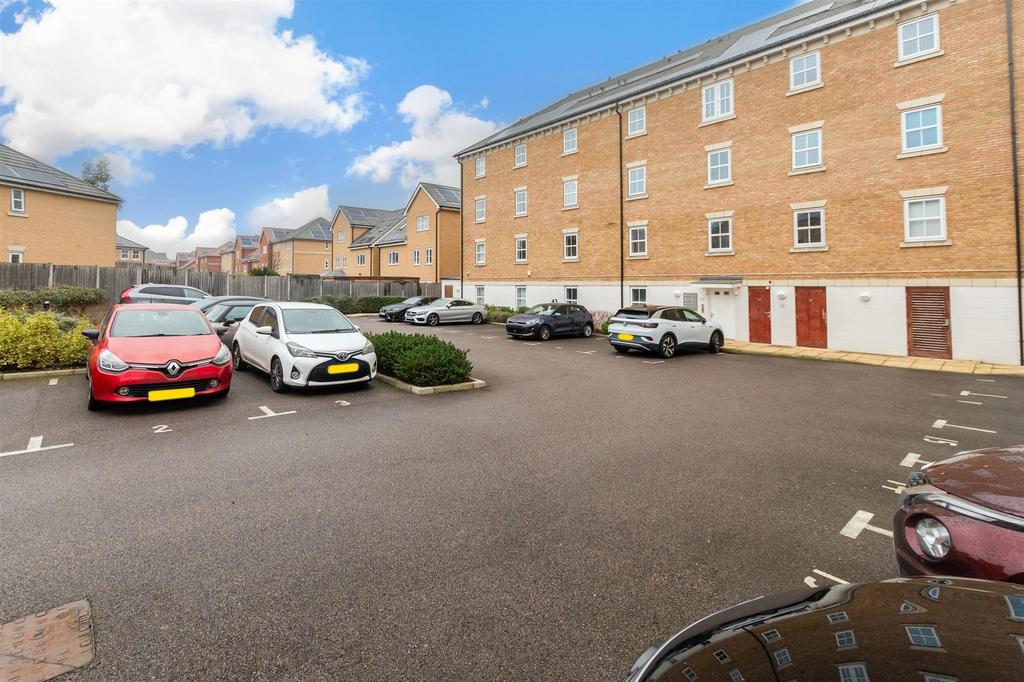 Driveway/Parking