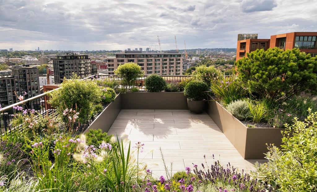 Roof Terrace