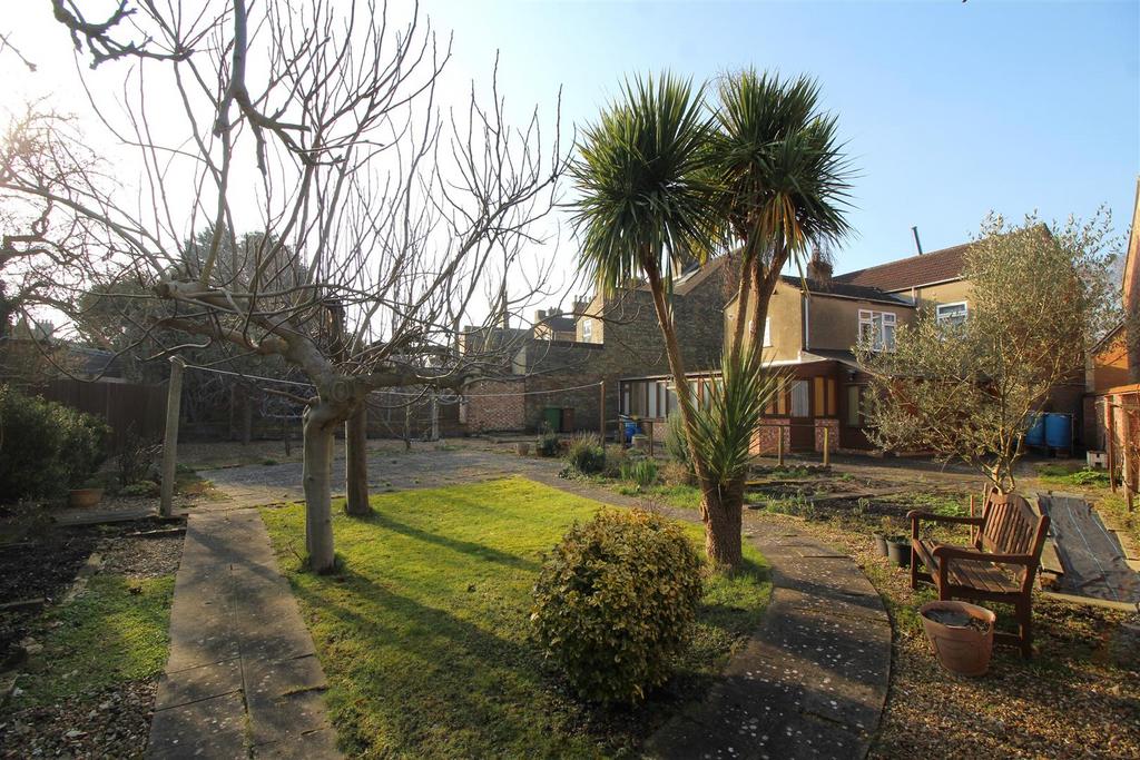 Garden 2 .JPG