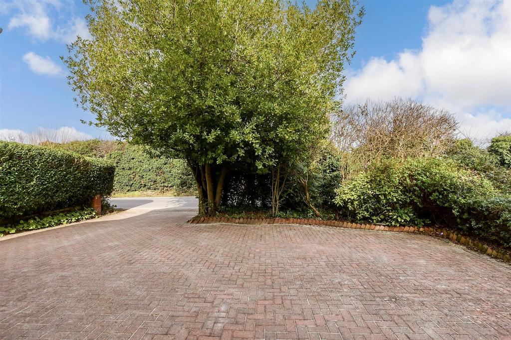 Driveway/Parking