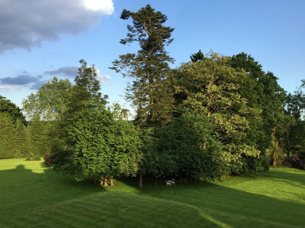 Communal Grounds
