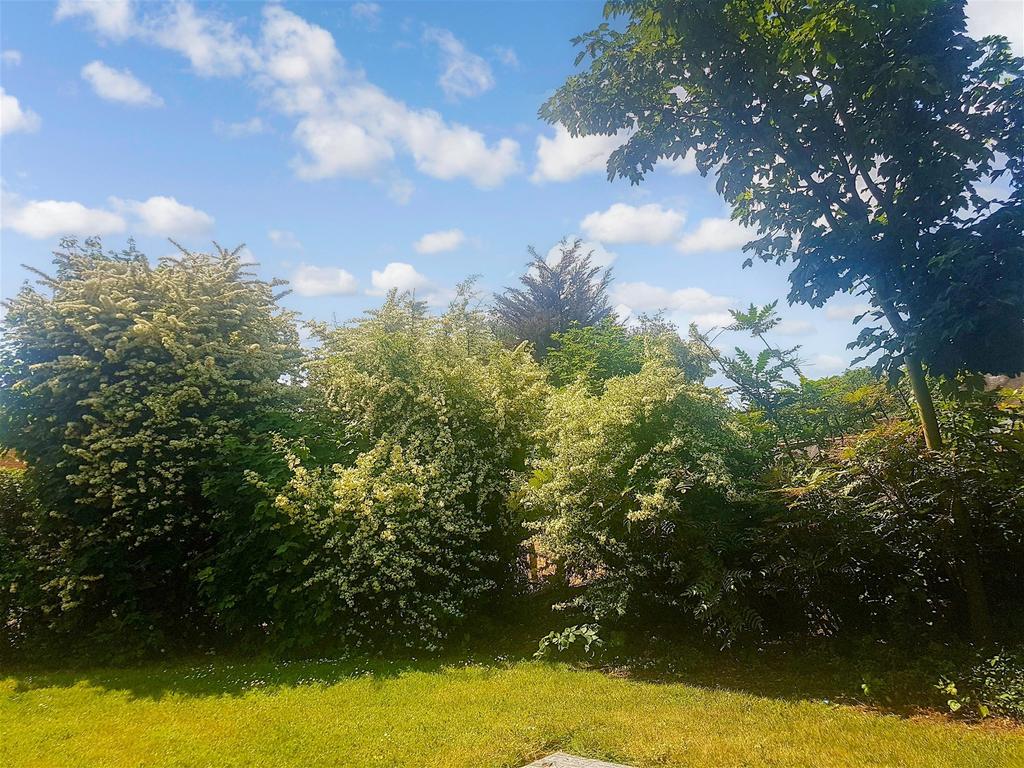 Communal Garden A