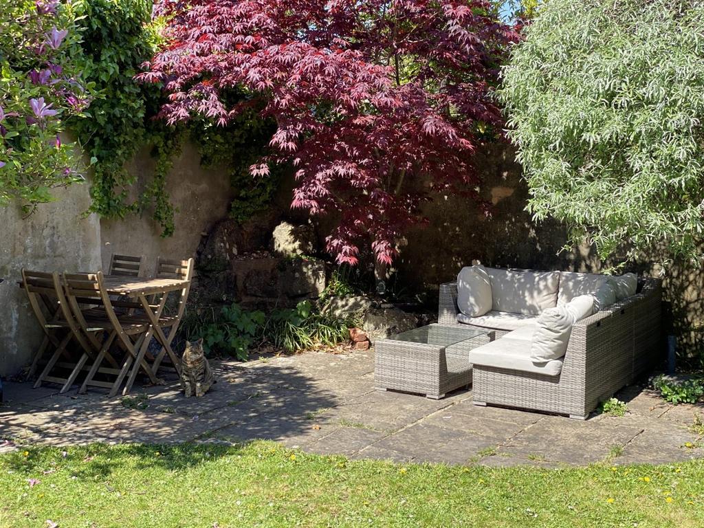 Rear Patio - 28th April 2025.jpg