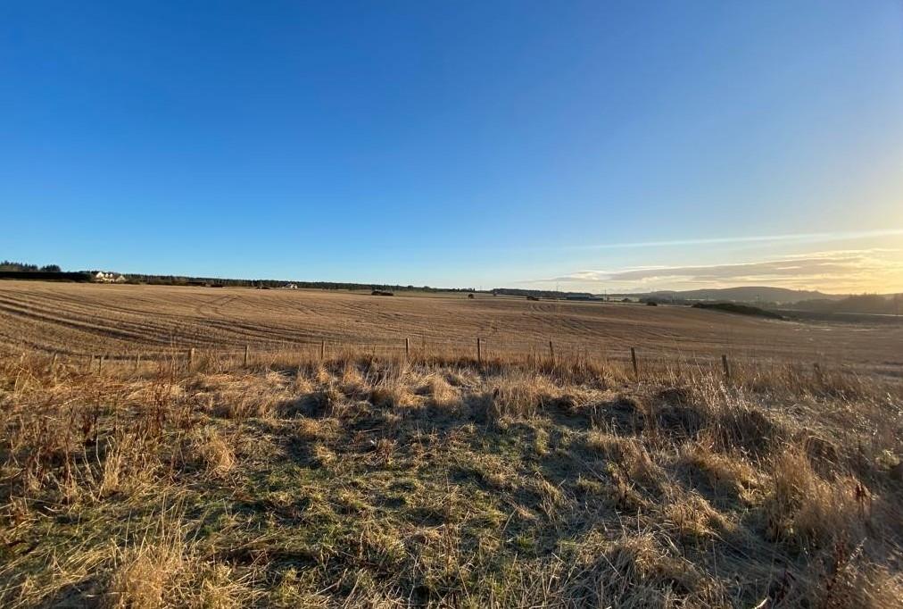 Muirdyen front