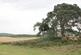 Additional image 3 of Plot at Muiryden Farm, Fortrose, IV10