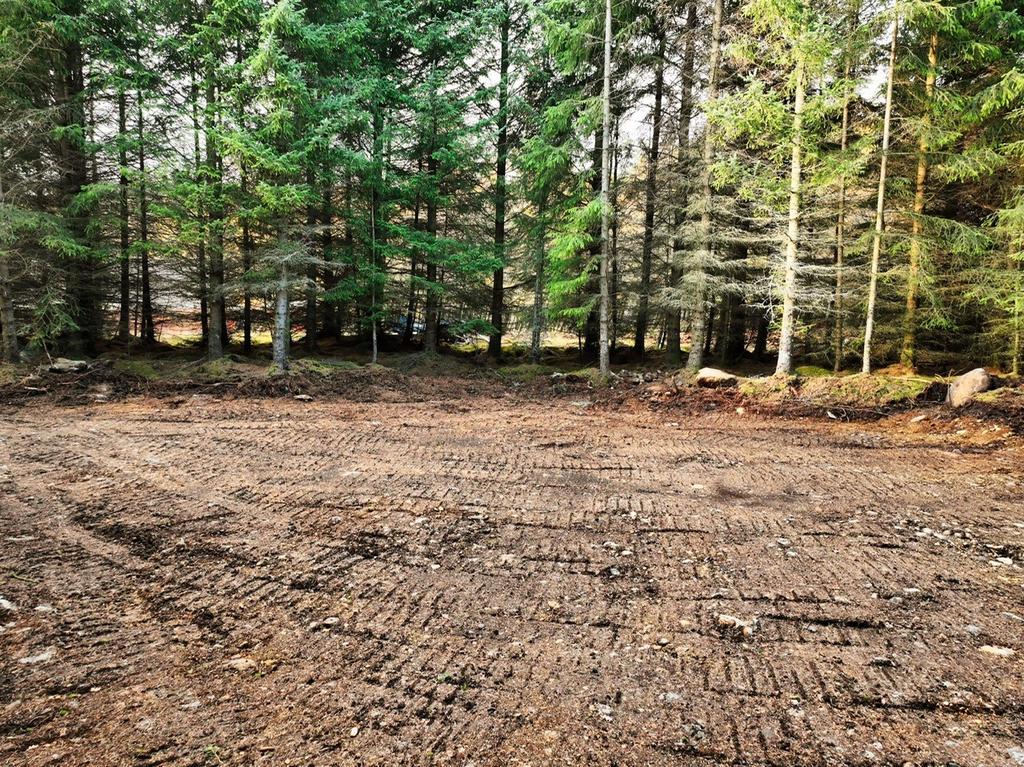 Plot 1