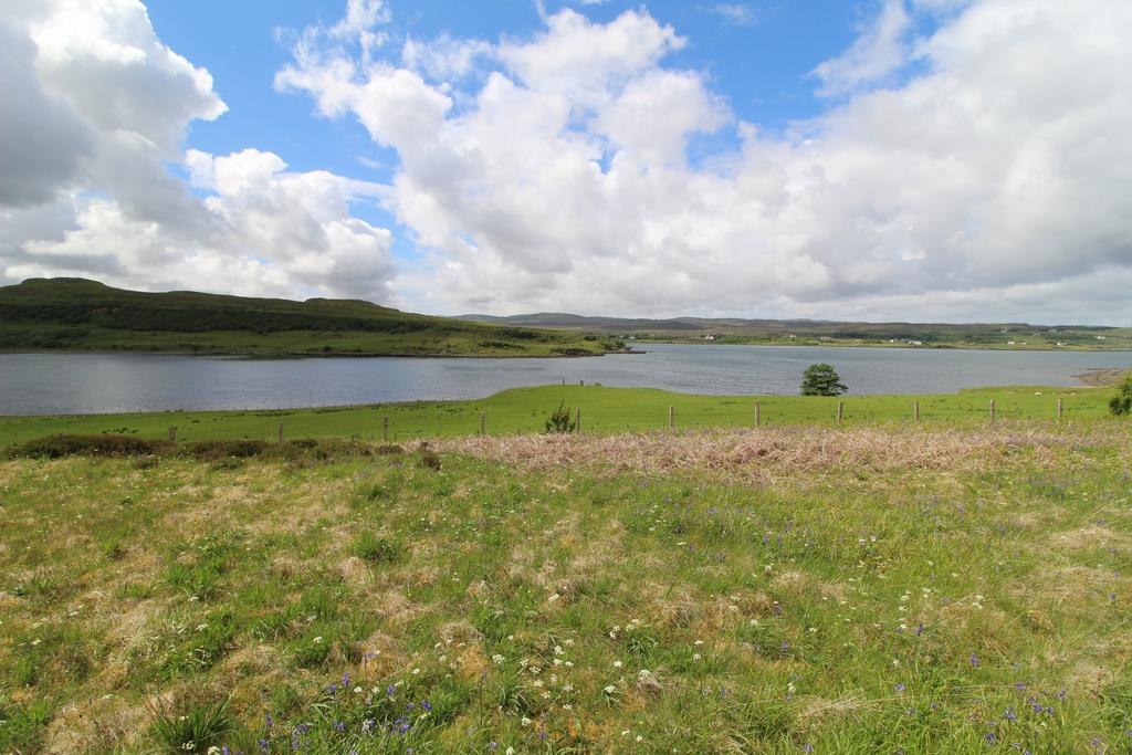 Img 0602