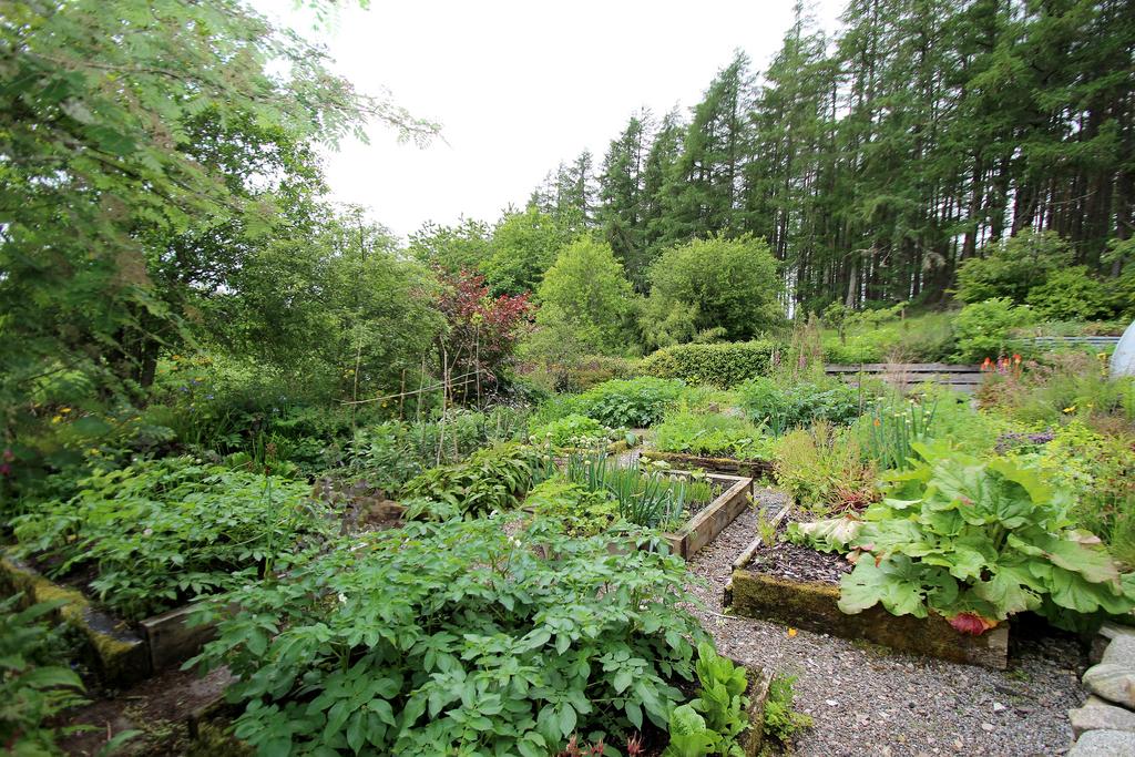 Garden 3