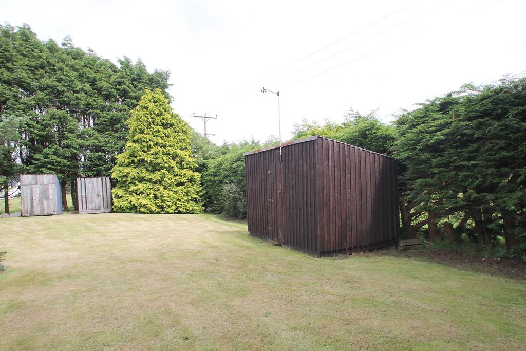 Garden 3