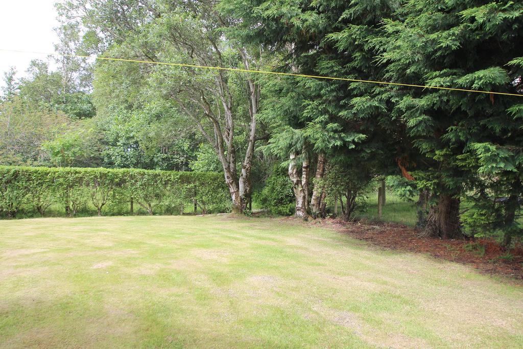 Garden 4