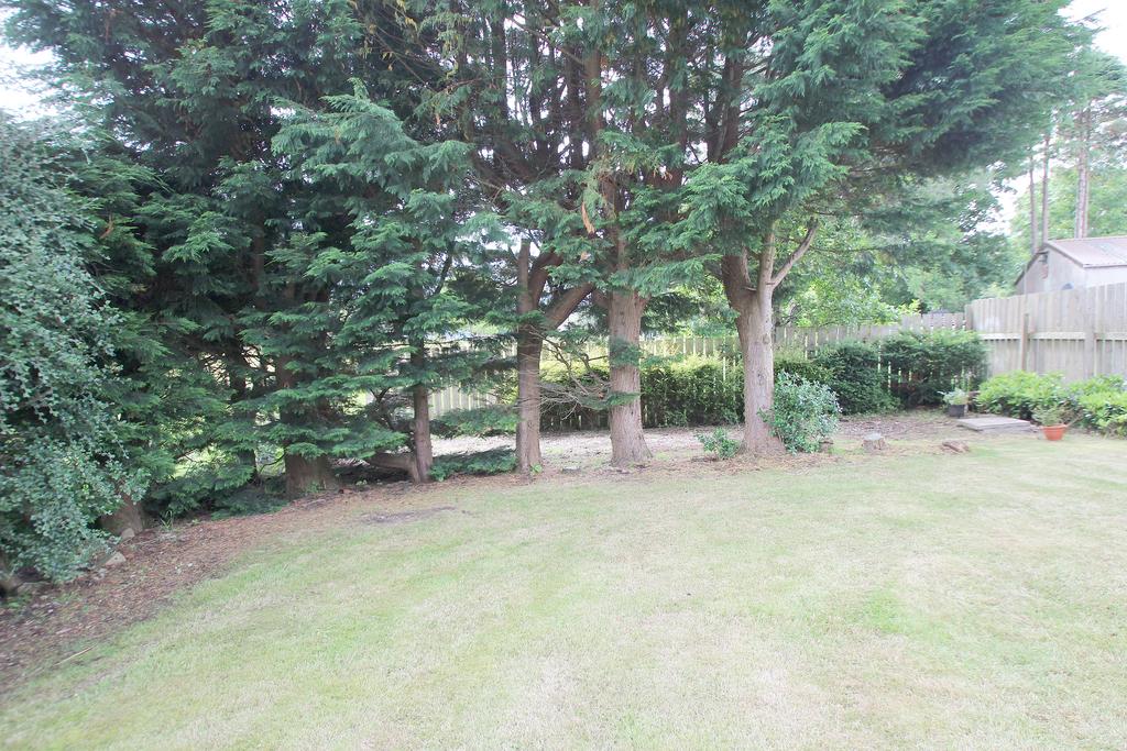 Garden 2
