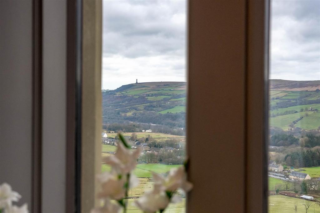 DSC 5875.jpg