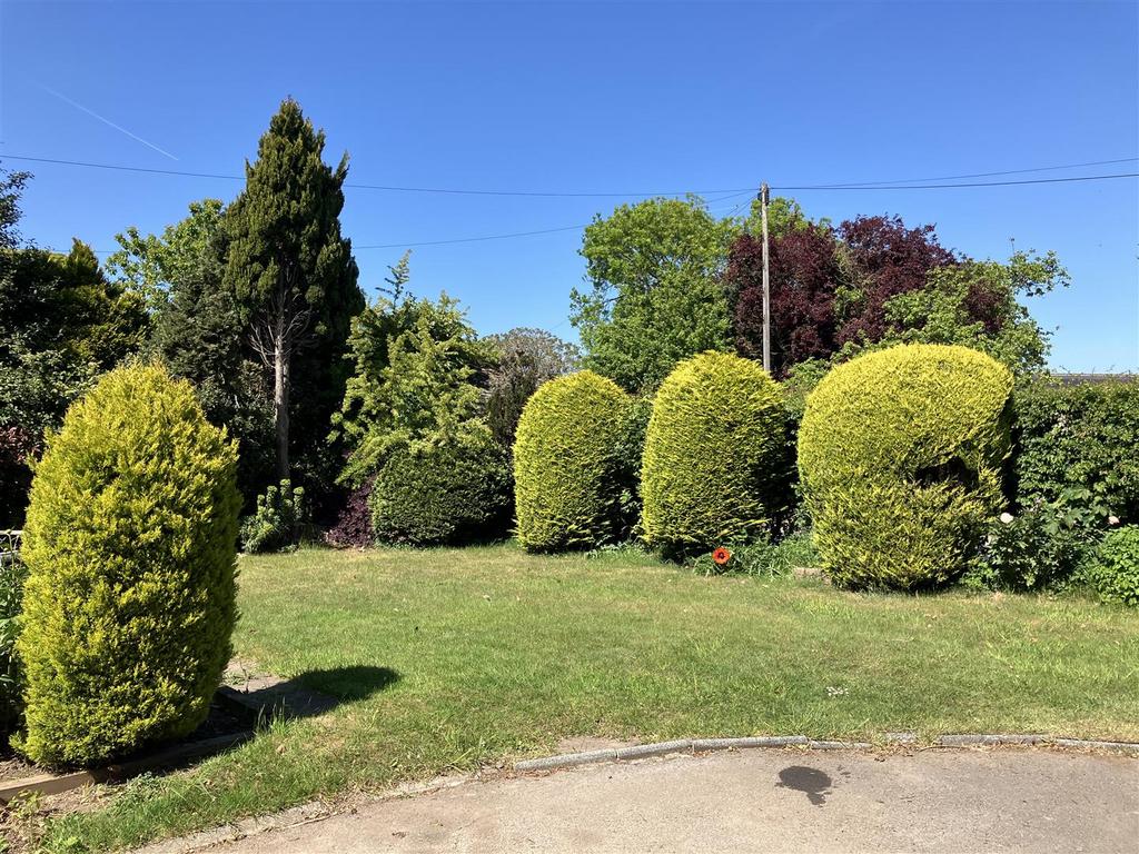 Sunny front garden.jpg