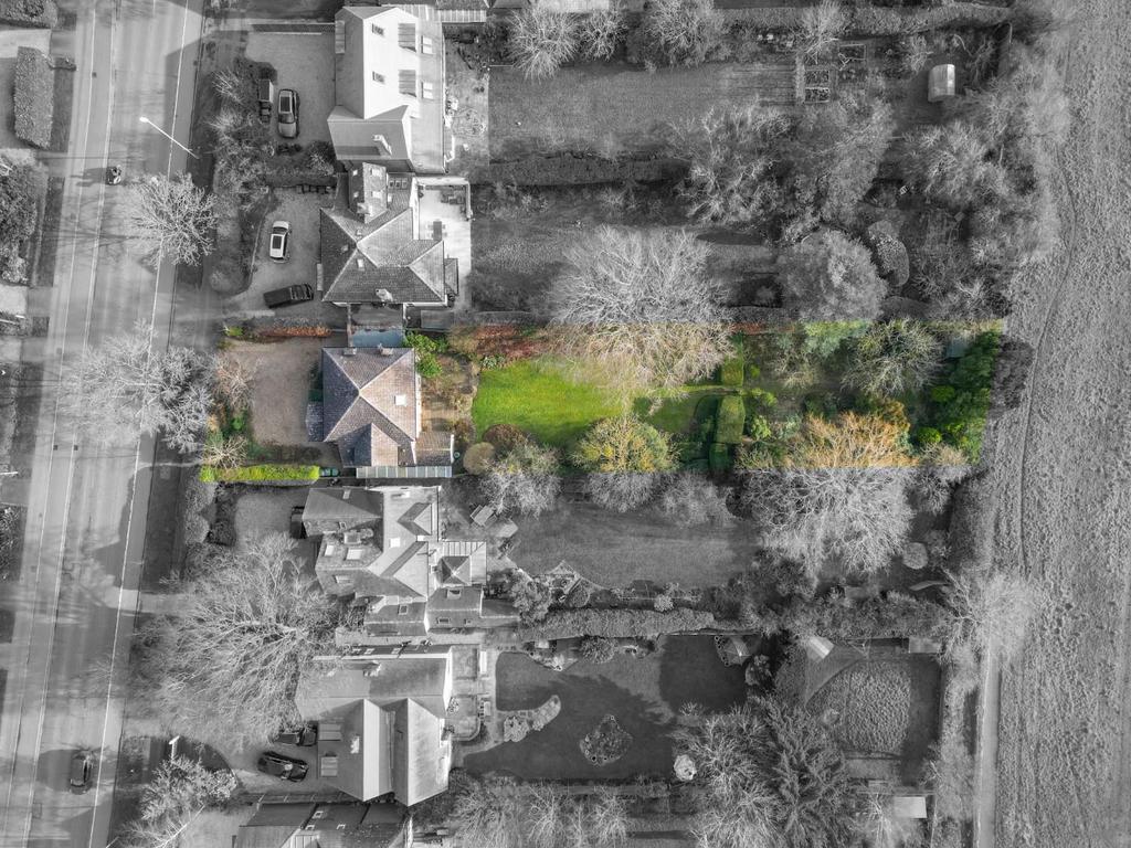 DJI 0338.jpg