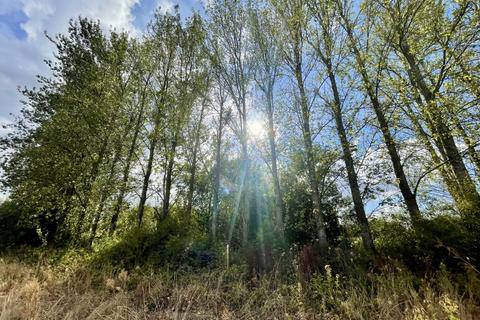 undefined, Benenden, Kent TN17