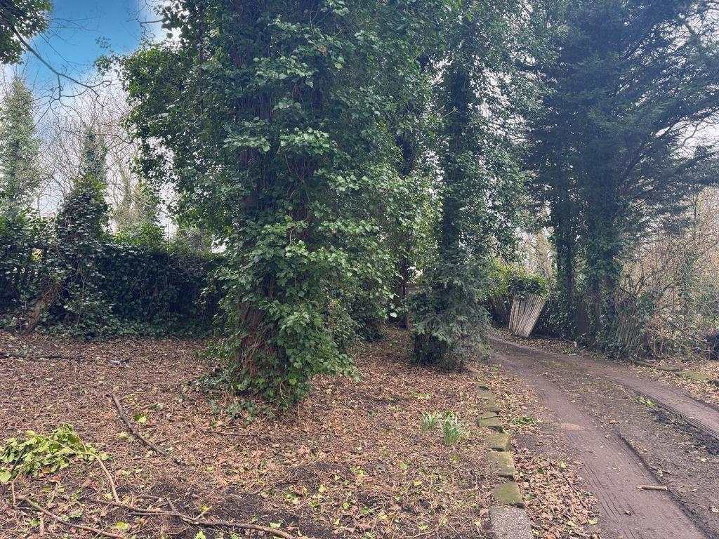Driveway