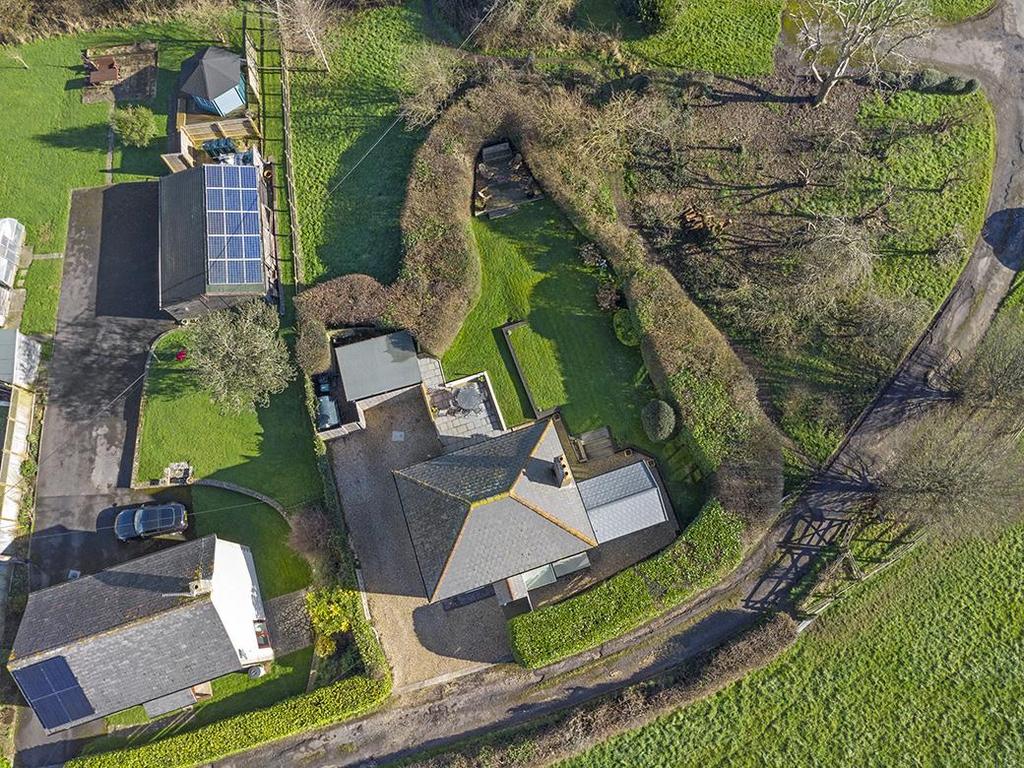 DJI 0230.jpg