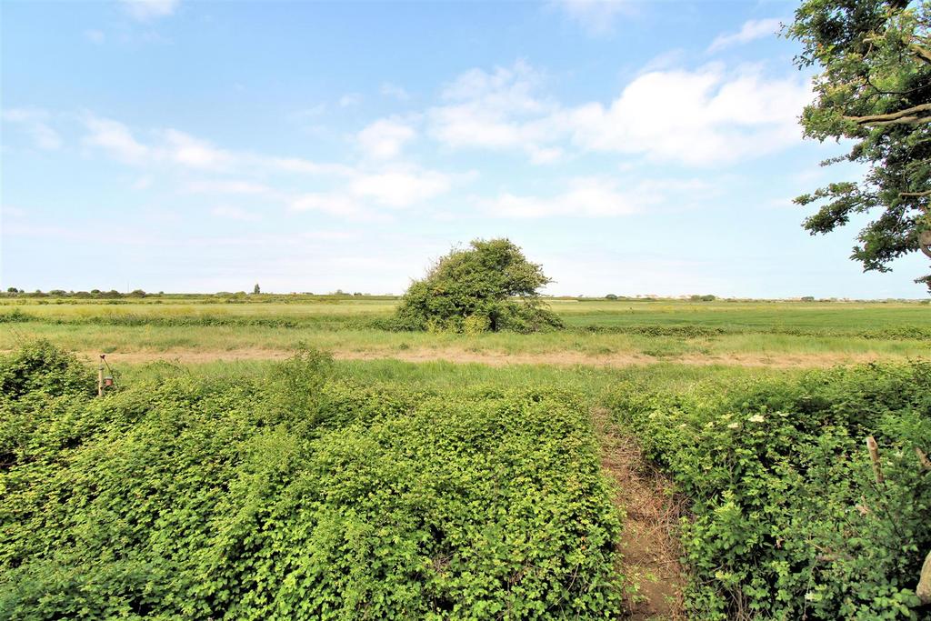 Field Views