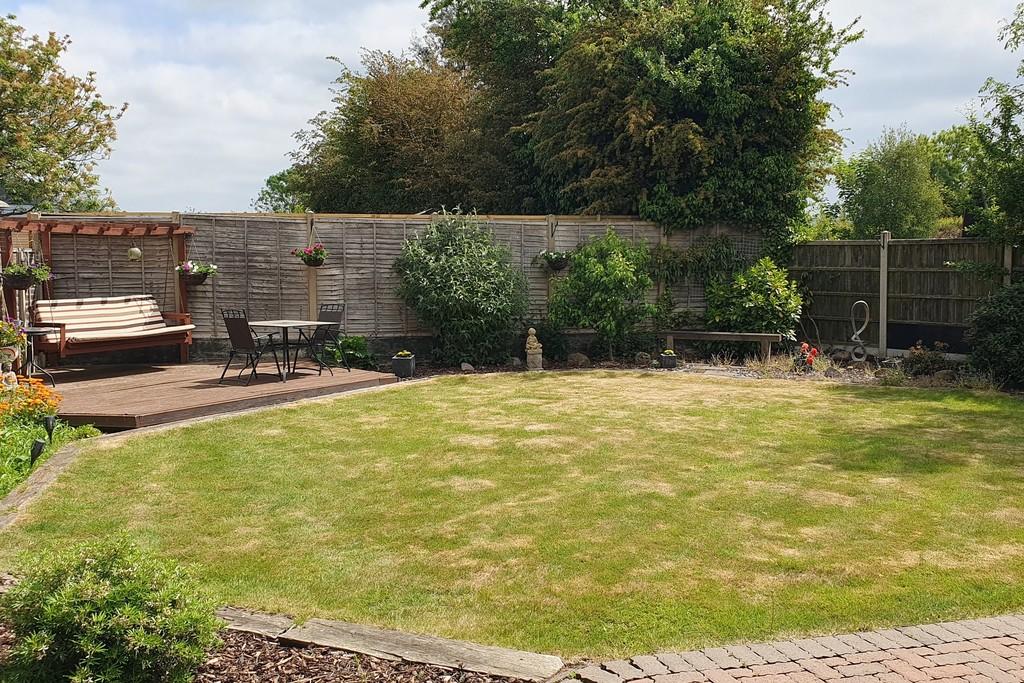 Back garden 1