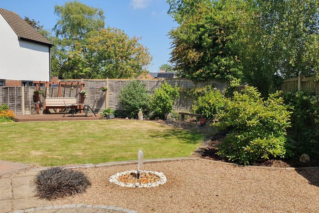 Back garden 2