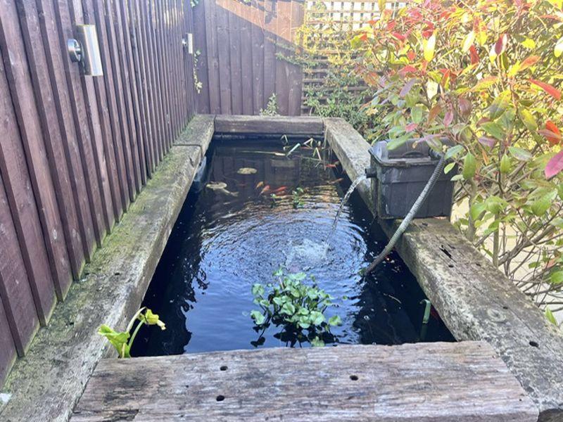 Pond