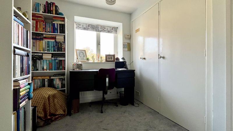 Study Area