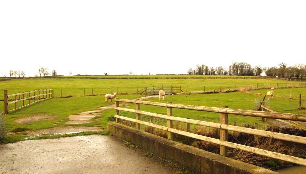 Paddock
