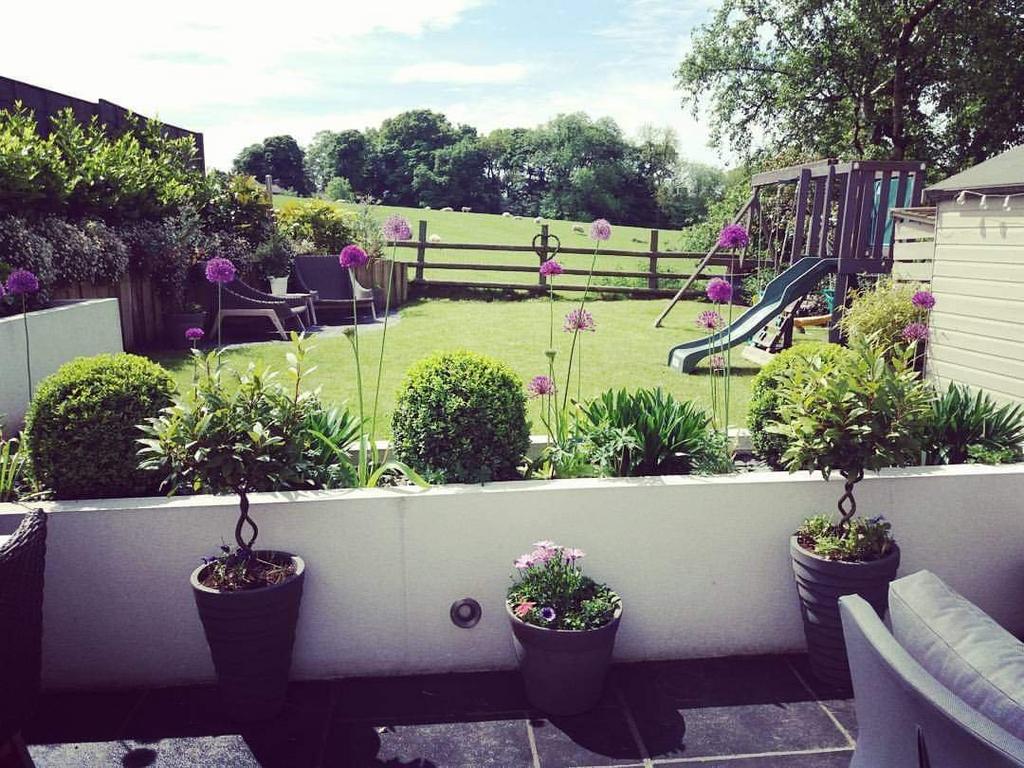 Garden Summer Shot