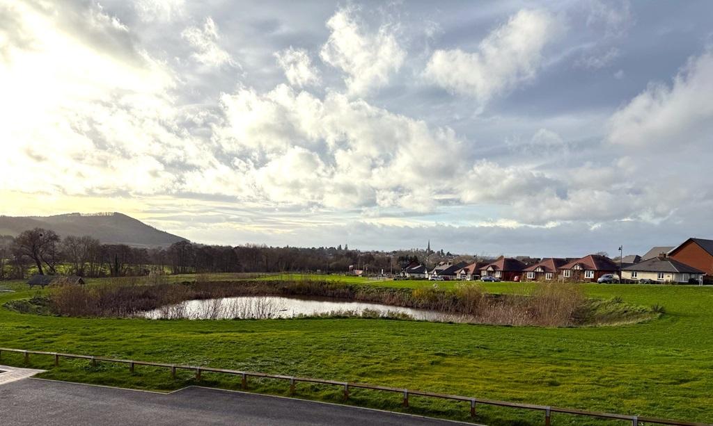 Views of green space