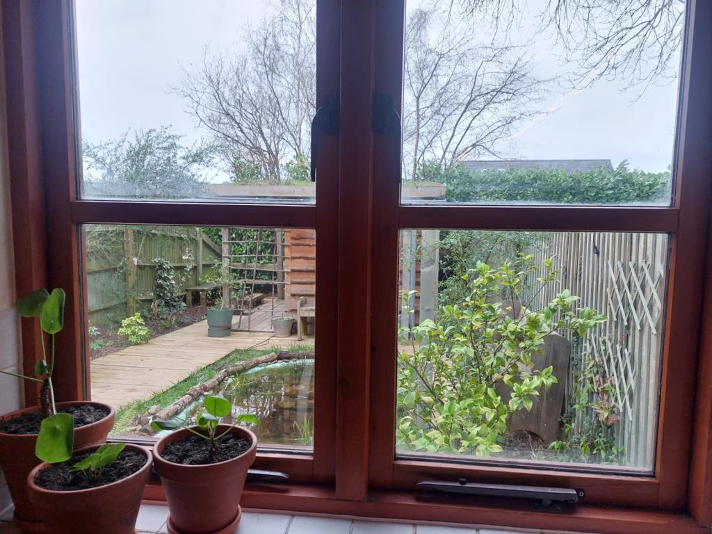View from Kitchen Window