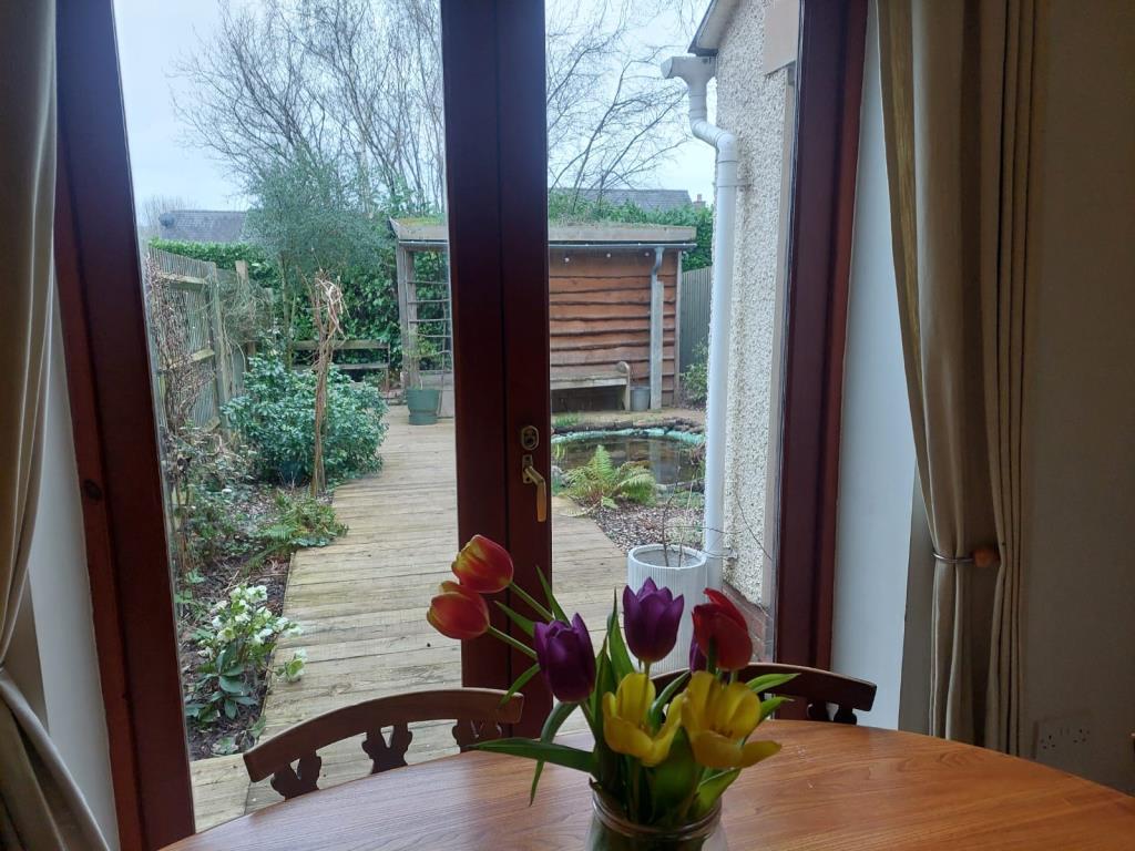 View from Dining Room