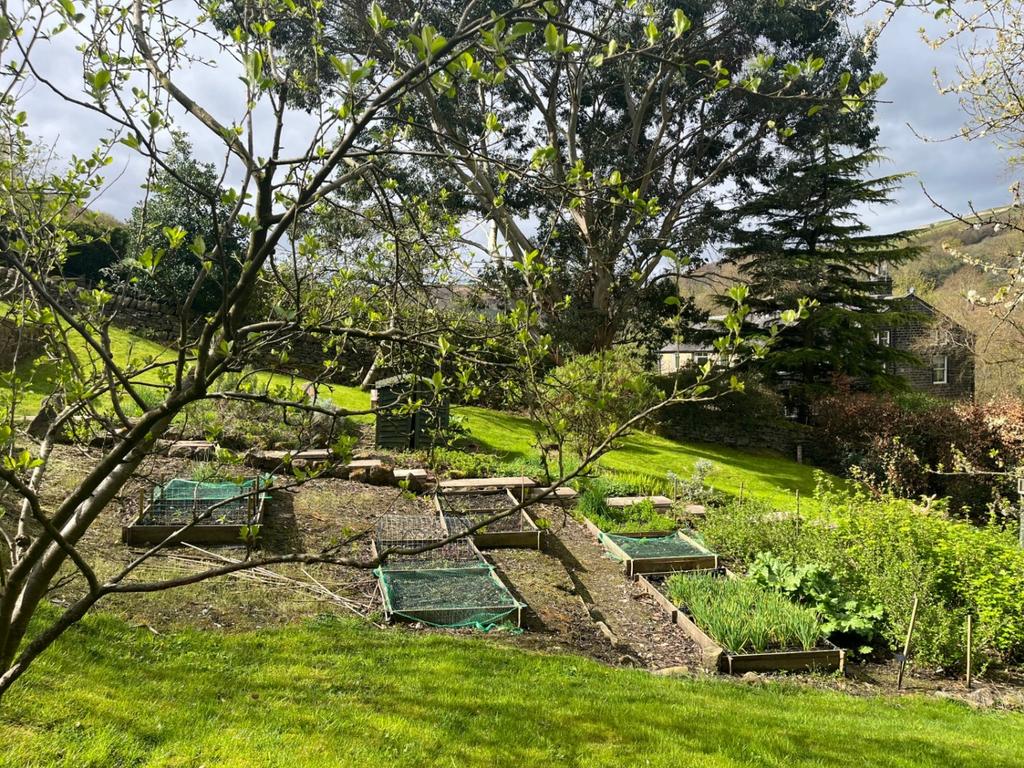 Vegetable Garden