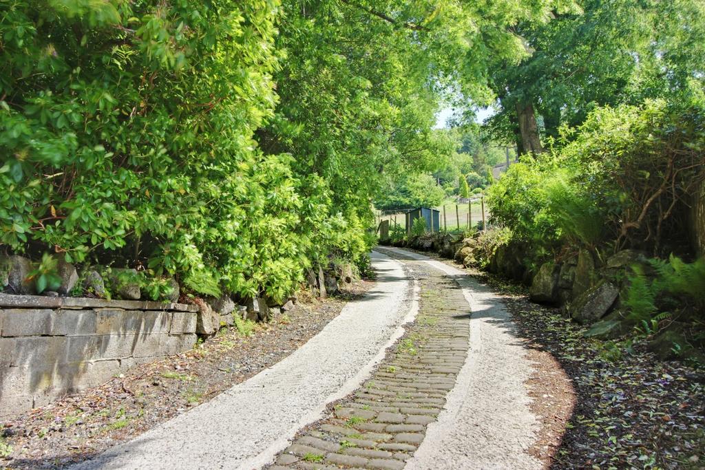 Approach to Property