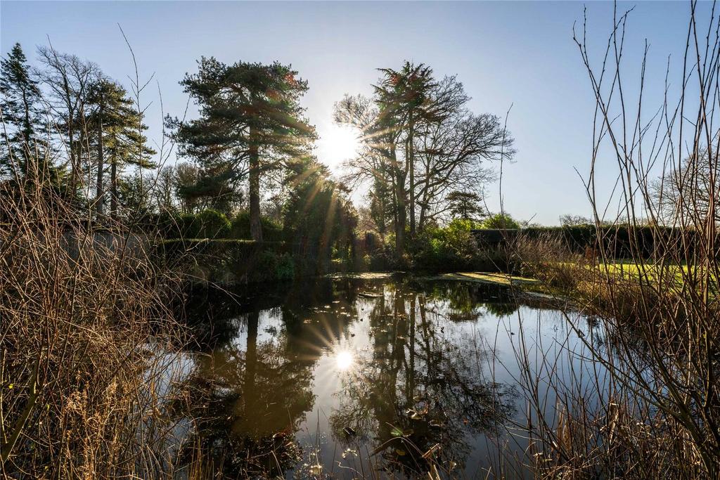 Pond