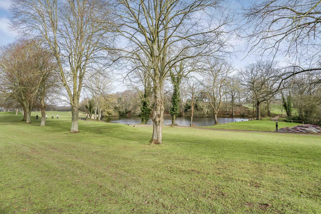 Grounds