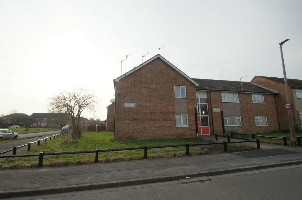 Main Image