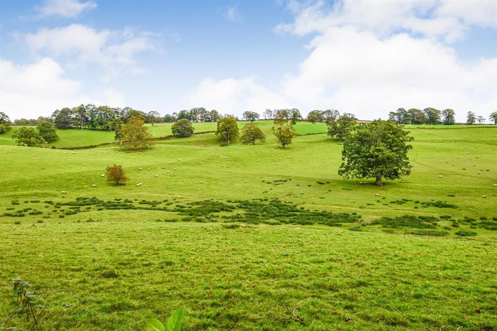 View From the Garden