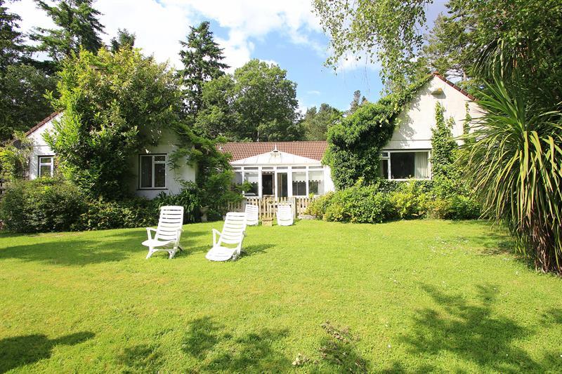 Vicarage Road, Verwood 4 bed detached bungalow £599,950