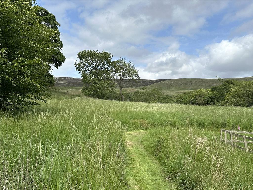 Picture No. 62