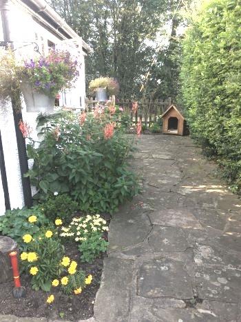 Photo 36